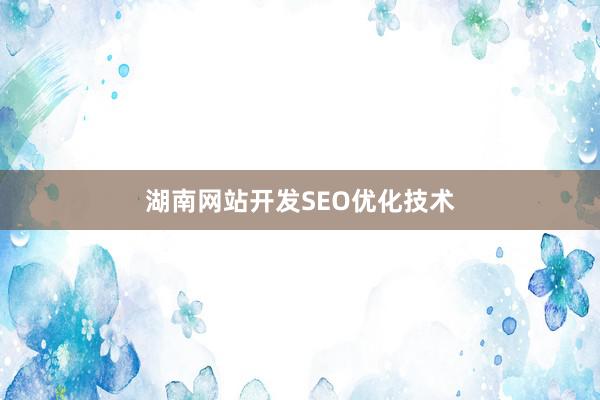 湖南网站开发SEO优化技术