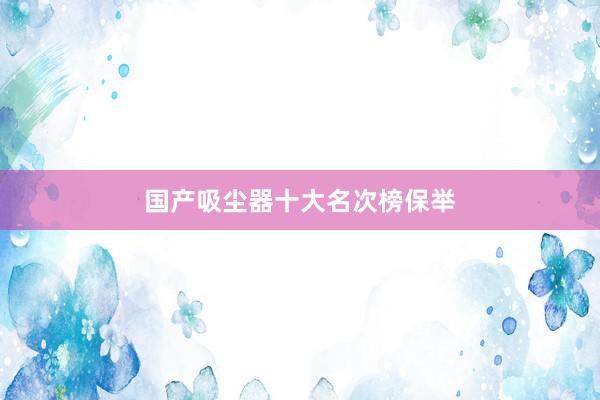 国产吸尘器十大名次榜保举