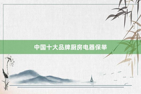中国十大品牌厨房电器保举